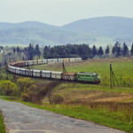 In Bieszczady [analog/print]