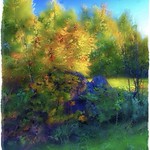 Autumn&rsquo;s palette&hellip;.