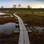 C/2025 A6 (Lemmon) Kakerdaja raba