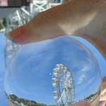 lensball photography