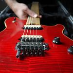 Day 6166 - Day 322 - Getting Wolfie Ready