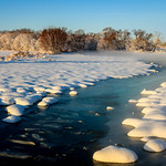 The Cold Spring Creek