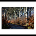 Dubs on Road BL7Q2391