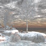 Pususaari - Where winter comes to rest I