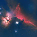 Flame & Horsehead Nebulae (Starless)