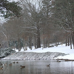 snow shenanigans in the south