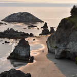 walking among giants