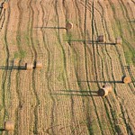 Forgotten Straw Bales