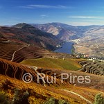 Douro&acute;s River Valley