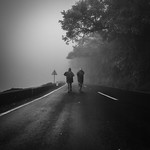 Bitter sweet morning