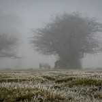 Winter Whimsical - 52 Week - Week 4