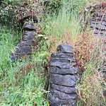 Ruakuri Scenic Reserve