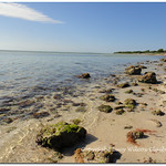 Bahia Honda shoreline