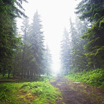 WRONG TURN [EXPLORED]