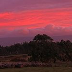 Con esta toma me despido hasta dentro de unos dias, me marcho para el Algarve -Portugal