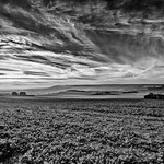 Across the North Downs