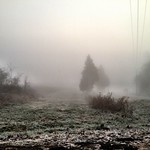 over the river and through the woods