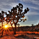 Hidden Valley Sunset