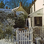 Turned out nice Again