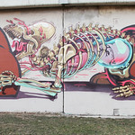 The anatomy of mother bear giving birth