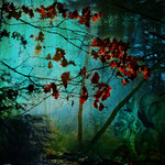 .tortured by the changing of the seasons.