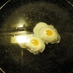 First eggs