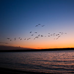 Soaring into Sunset III