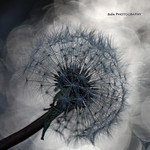 Yo no te dejo marchar...porqu&eacute;...