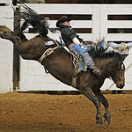 Rodeo Finals 04