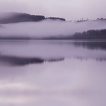 morning whispers(explore)