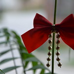 A Sign of Auspiciousness (10/52)