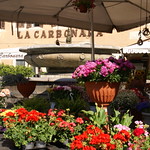 Rom, Campo de' Fiori, Blumenstand am Brunnen (flower stall at the fountain)