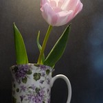 ALIENS !!!! EXPLORE 455