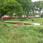 Oak Tree #13 Tee