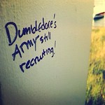 Uncle dumbledoores wants you