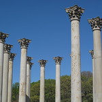Arboretum Capitol Columns