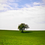 non si &egrave; mai soli