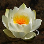 Moments of this summer