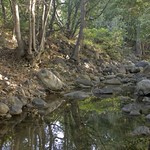 Arroyo Hondo creek