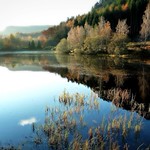 Polney Loch Autumn Colours 2