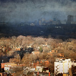 Toronto's Tales of Dales. Light and Shadow of Christmas Eve