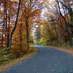 AUTUMN ROAD IN GRANDSON (SWITZERLAND, VAUD, JURA NORD VAUDOIS, GRANDSON)