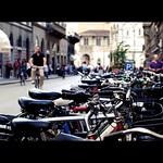 "zona traffico limitato" | firenze