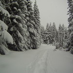 Dirty Harrys Peak 038