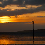 Filey, Cormorant at Sunrise.