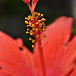 always and forever (explore)