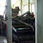 Mackwoods Labookellie Tea Centre