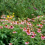 Father's Day 2012 42