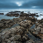 The Rolling Tempest - Pescadero State Beach