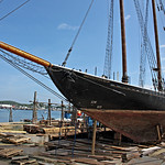 "Highlander Sea" an historic schooner built in Essex, MA in 1924 _2971